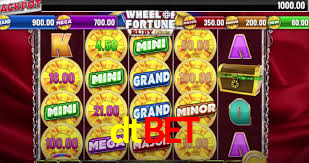 dtbet.com